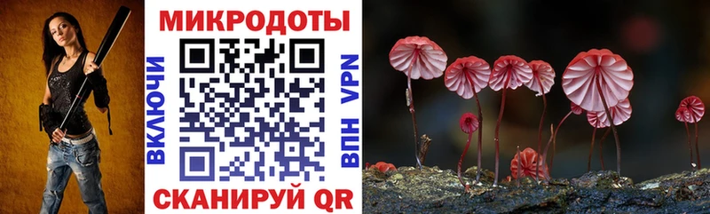 Галлюциногенные грибы GOLDEN TEACHER  хочу наркоту  Грайворон 